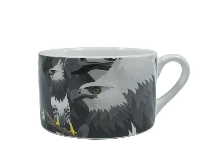 IMG25284228 IMG25284228